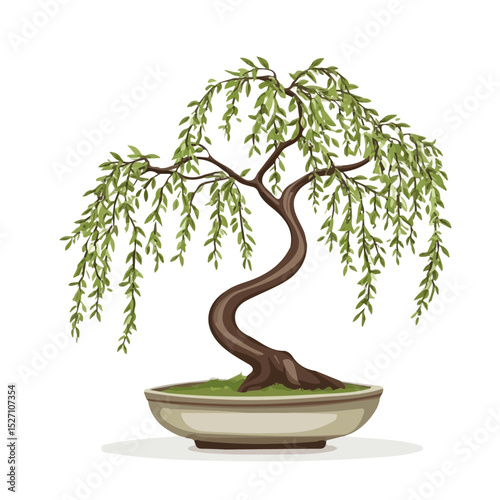 2D flat A Willow Bonsai vector illustration, isolated on a white background.