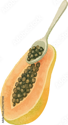Watercolor Papaya Illustration – Hand Painted Tropical Fruit Clipart on White Background | Generative AI