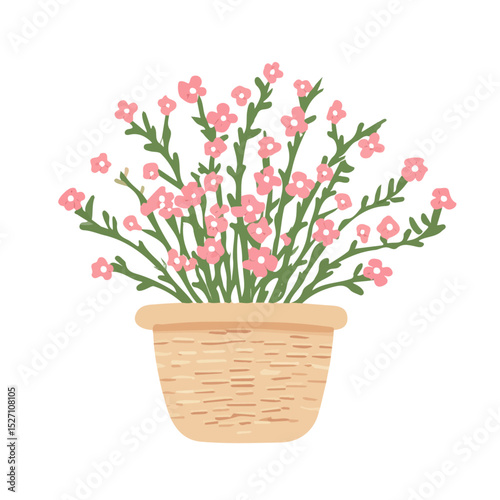 A Waxflower Flower Basket vector 2D flat illustration, isolated on a white background.