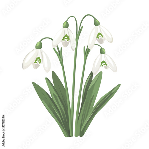 A Snowdrop Bouquet 2D flat vector illustration, isolated on a white background.