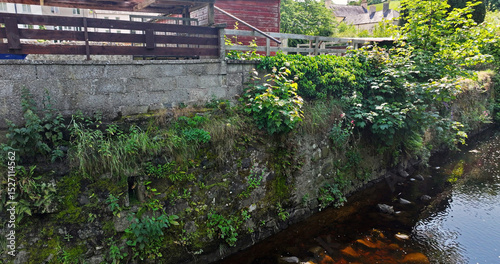 Drone Photo of lush overgrown riverbank with dense greenery and wild plants on a stone wall covered in ivy and moss in UK