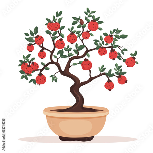 2D flat vector illustration of A Pomegranate Bonsai, isolated on a white background.