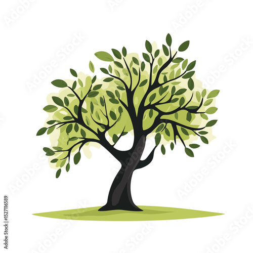 2D flat A Olive Tree vector illustration, isolated on a white background.