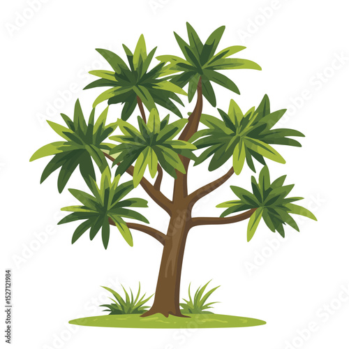 A Monkey Puzzle Tree illustration vector 2D flat, isolated on a white background.