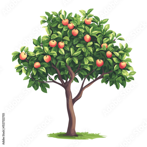 2D flat A Mangrove Apple Tree vector illustration, isolated on a white background.