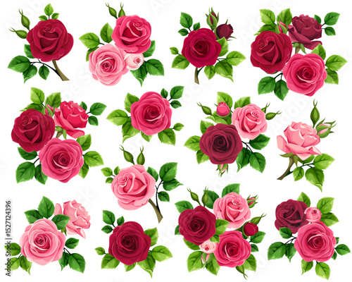 Φωτογραφία Red and pink rose flowers