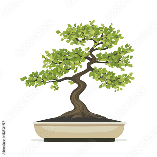 2D flat vector illustration of A Hornbeam Bonsai, isolated on a white background.