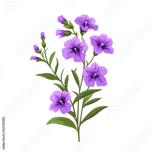 A Gromwell Bouquet vector 2D flat illustration, isolated on a white background.