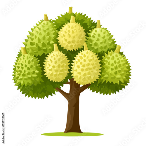 A Durian Tree vector 2D flat illustration, isolated on a white background.