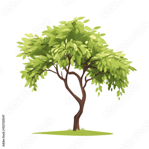 A Desert Willow Tree 2D flat vector illustration, isolated on a white background.
