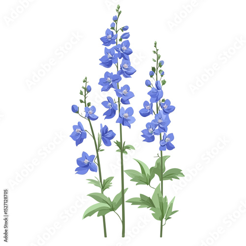 2D flat A Delphinium Plant illustration vector, isolated on a white background.