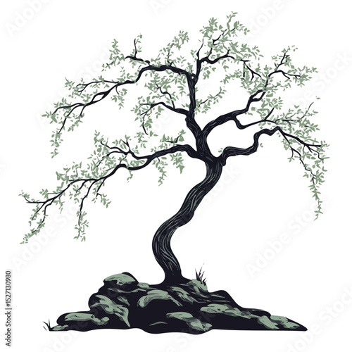 2D flat A Chinese Elm Tree illustration vector, isolated on a white background.