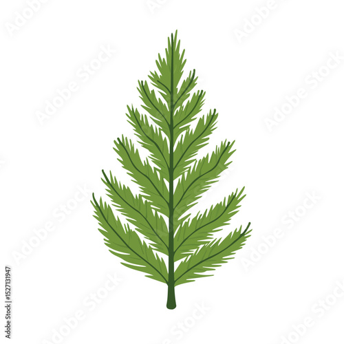2D flat vector illustration of A Cedar Leaf, isolated on a white background.