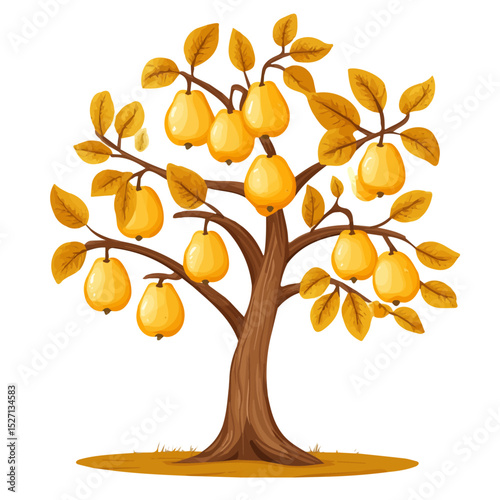 2D flat Autumn Pears Ripening Tree vector illustration, isolated on a white background.