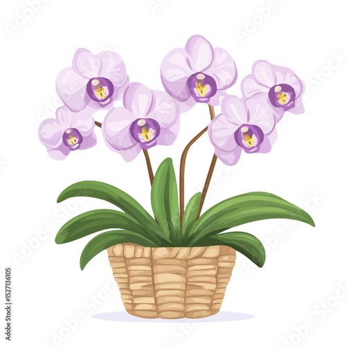 An Orchid Flower Basket illustration vector 2D flat, isolated on a white background.