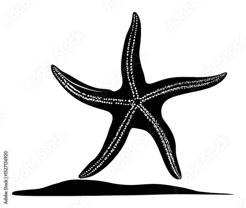 Hand Drawn Silhouette of a Starfish on a Sandy Beach Background