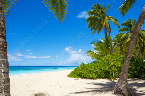 Fototapeta Naklejka Na Ścianę i Meble -  A beautiful tropical beach with white sand, coconut palms and a blue ocean backdrop.