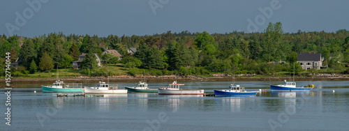 Colorful Lobster Boats Tied Up In The Bay