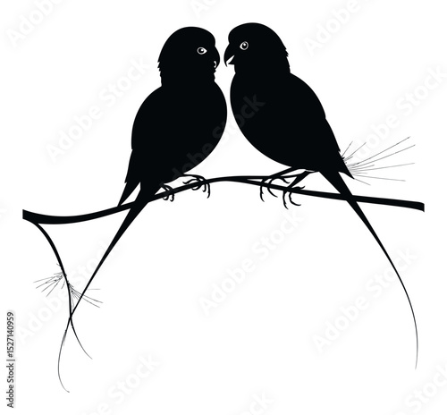 Hand-Drawn Silhouette of Two Birds on a Branch in Artistic Style