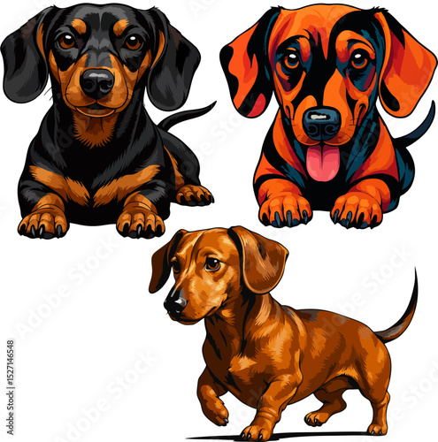 Dachshund mascot vector.eps