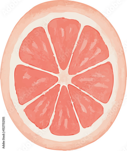 Watercolor Grapefruit Illustration – Hand Painted Citrus Fruit Clipart on White Background | Generative AI