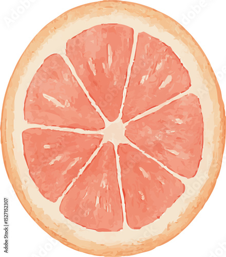 Watercolor Grapefruit Illustration – Hand Painted Citrus Fruit Clipart on White Background | Generative AI