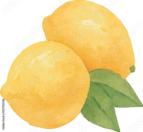 Watercolor Grapefruit Illustration – Hand Painted Citrus Fruit Clipart on White Background | Generative AI