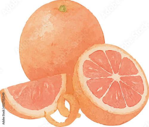 Watercolor Grapefruit Illustration – Hand Painted Citrus Fruit Clipart on White Background | Generative AI