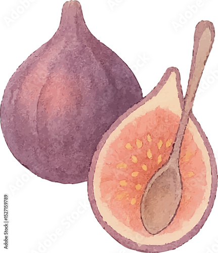Watercolor Fig Illustration – Hand Painted Exotic Fruit Clipart on White Background | Generative AI