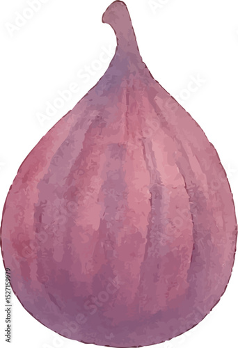 Watercolor Fig Illustration – Hand Painted Exotic Fruit Clipart on White Background | Generative AI