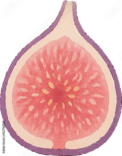 Watercolor Fig Illustration – Hand Painted Exotic Fruit Clipart on White Background | Generative AI