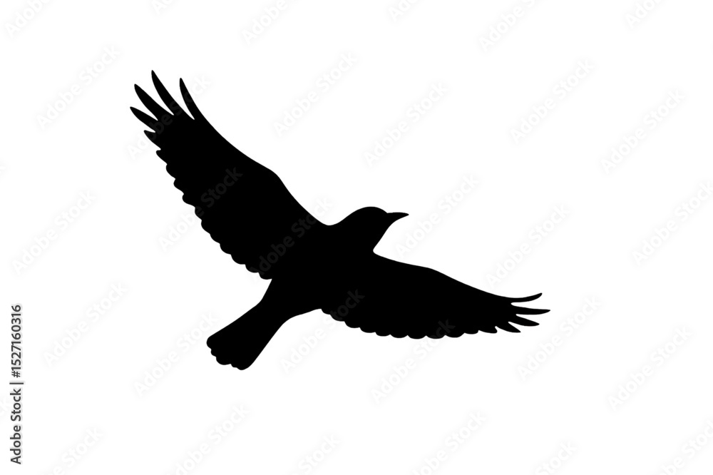 Obraz premium Flying Bird Icon