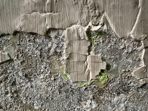Textured wall with peeling paint and mold growth due to moisture damage photo