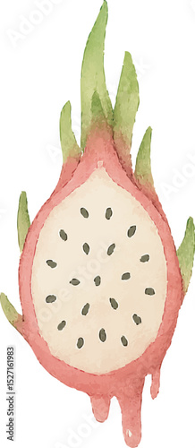 Watercolor Dragonfruit Illustration – Hand Painted Exotic Fruit Clipart on White Background | Generative AI