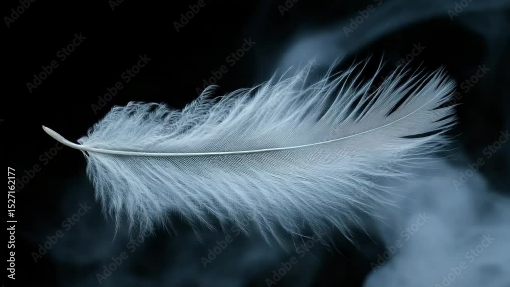 Delicate white feather floating against a dark smoky background, symbolizing lightness and tranquility