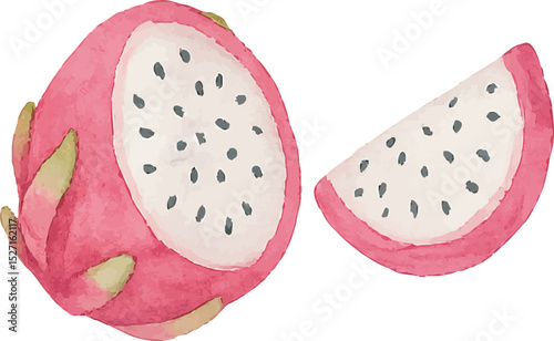 Watercolor Dragonfruit Illustration – Hand Painted Exotic Fruit Clipart on White Background | Generative AI