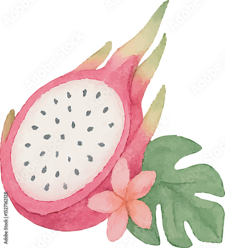 Watercolor Dragonfruit Illustration – Hand Painted Exotic Fruit Clipart on White Background | Generative AI