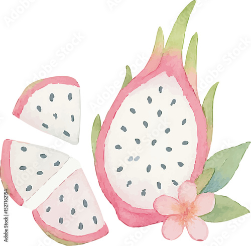 Watercolor Dragonfruit Illustration – Hand Painted Exotic Fruit Clipart on White Background | Generative AI