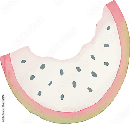 Watercolor Dragonfruit Illustration – Hand Painted Exotic Fruit Clipart on White Background | Generative AI