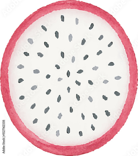 Watercolor Dragonfruit Illustration – Hand Painted Exotic Fruit Clipart on White Background | Generative AI