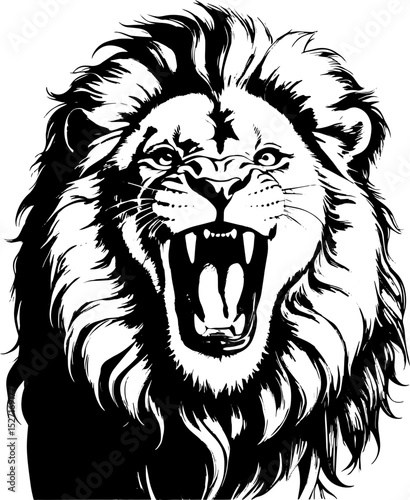 Majestic Lion Head A Powerful Black and White Illustration