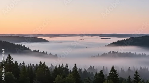 Misty morning over a forested valley