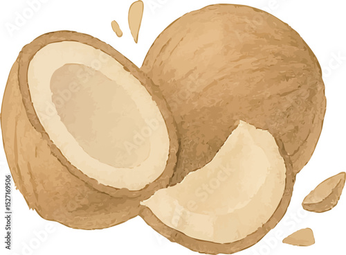 Watercolor Coconut Illustration – Hand Painted Tropical Fruit Clipart on White Background | Generative AI
