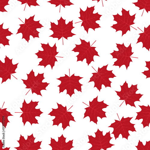 Red maple leaves on white background Canadian seamless pattern. Canada Day background. Vector template for Canadian holiday party invitation, greeting card, flyer, fabric, textile, etc.