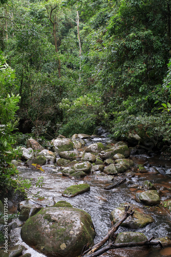 Forest steaming waterfall with stone in deep forest. Rainforest cover by bright green moss. Amazing nature landscape

