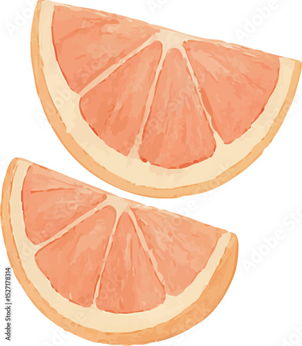 Watercolor Grapefruit Illustration – Hand Painted Citrus Fruit Clipart on White Background | Generative AI