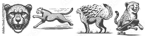 Vintage Hand-Drawn Cheetah Running Collection Illustration, Wild Animal Engraved Style Vector for T-Shirts and Sports Themes Design