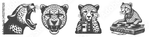 Vintage Hand-Drawn Cheetah Roaring Illustration, Wild Animal Engraved Style Vector for T-Shirts and Safari Themes Design
