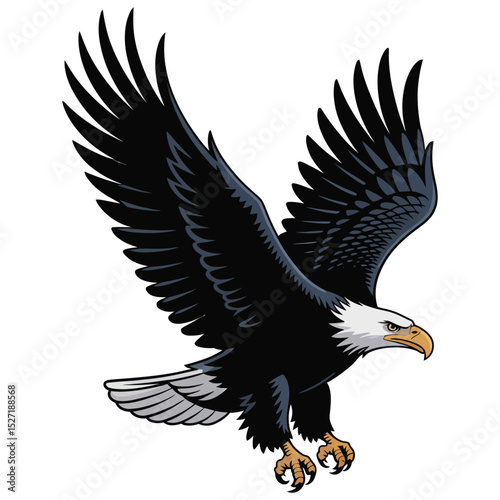 american bald eagle