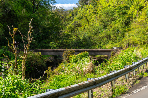 Lush Hawaiian landscape featuring a bridge over a stream, viewed from the roadside.